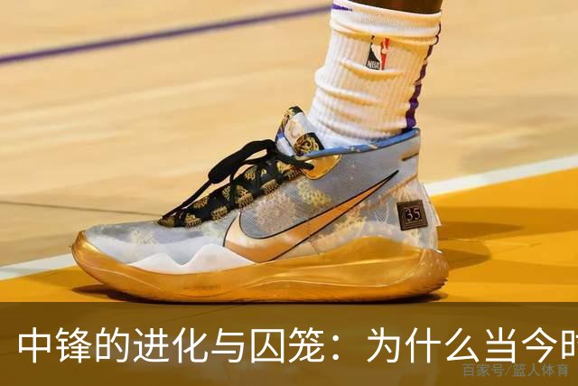 中锋的进化与囚笼：为什么当今时代冠军级球队的门槛依然在内线？