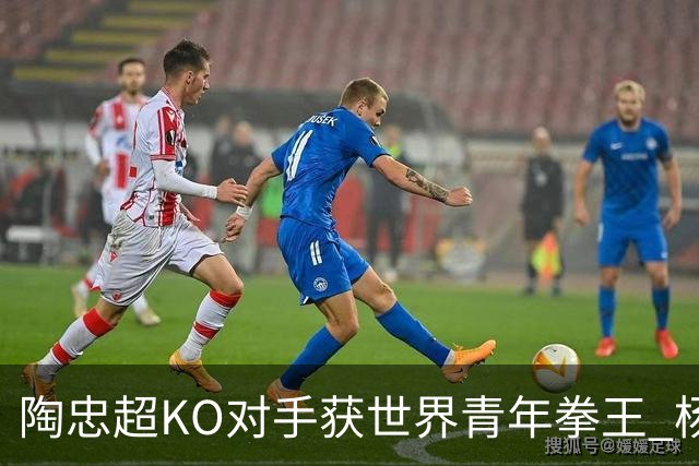 陶忠超KO对手获世界青年拳王 杨永强苦胜越老将